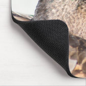 メスマラード マウスパッド (コーナー)