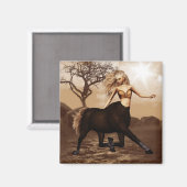 メス型中心磁石 マグネット (正面/裏面)