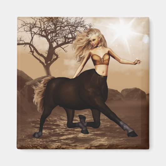 メス型中心磁石 マグネット (正面)