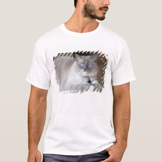 メス ラグドール Tシャツ (正面)
