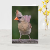 メス（鳥）ショウジョウコウカンチョウノートカード カード (黄色い花)
