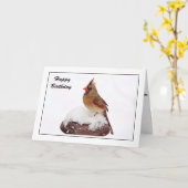 メス(鳥)ショウジョウコウカンチョウ誕生日カード カード (黄色い花)