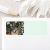 メセキャットメリークリスマス差出人住所ラベル ラベル (インサイチュ)