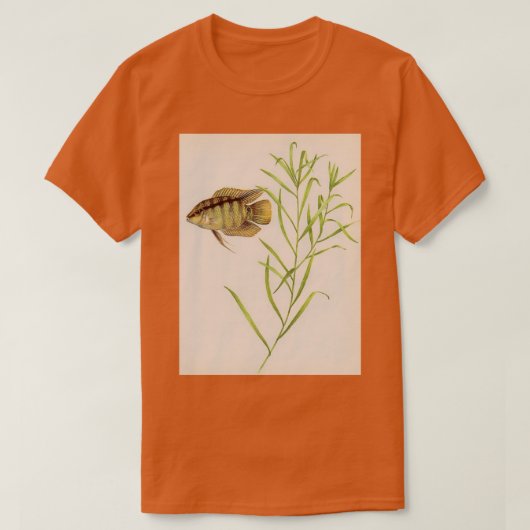 メゾナウタ祭り国旗 Tシャツ (デザイン正面)