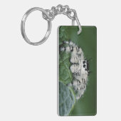 メタヒドジャンピングスパイダー キーホルダー (正面左)