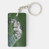 メタヒドジャンピングスパイダー キーホルダー (裏面)