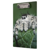 メタヒドジャンピングスパイダー クリップボード (左)