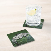 メタヒドジャンピングスパイダー スクエアペーパーコースター (インサイチュ)