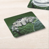 メタヒドジャンピングスパイダー スクエアペーパーコースター (アングル)