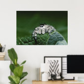 メタヒドジャンピングスパイダー ポスター (ホームオフィス)