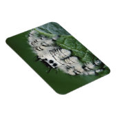 メタヒドジャンピングスパイダー マグネット (右側)