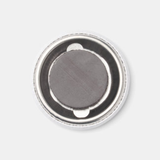 メタモルフォシス実現磁石 マグネット