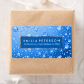 メタリックスカイブルーレインドロスシルバーのアクセント ラベル (インサイチュ)