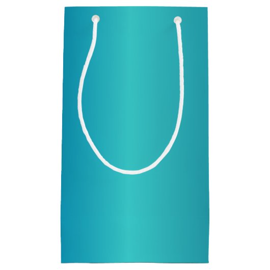 メタリックブルー スモールペーパーバッグ (正面)