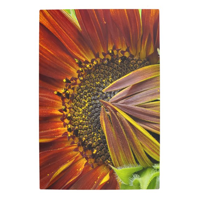 メタルウォールアートサンフラワー メタルプリント (正面)