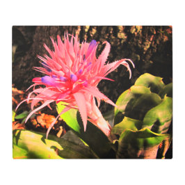 メタルウォールアートブロムリード メタルプリント