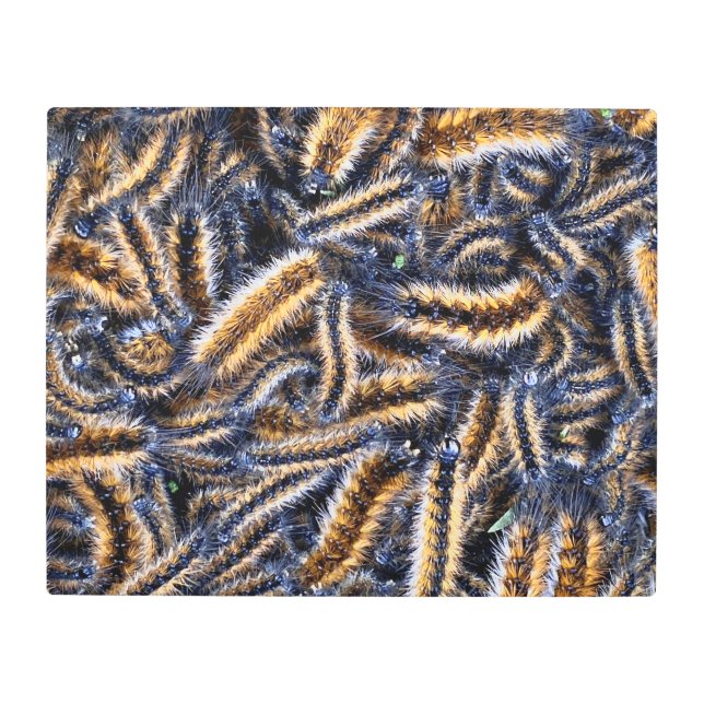 メタルウォールアート メタルプリント (正面)