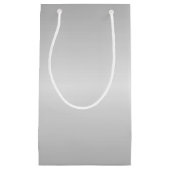 メタルシルバールック スモールペーパーバッグ (正面)