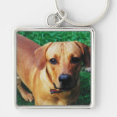 メタルパーソナライズされたフォトフレームのキーチェーン キーホルダー (正面)