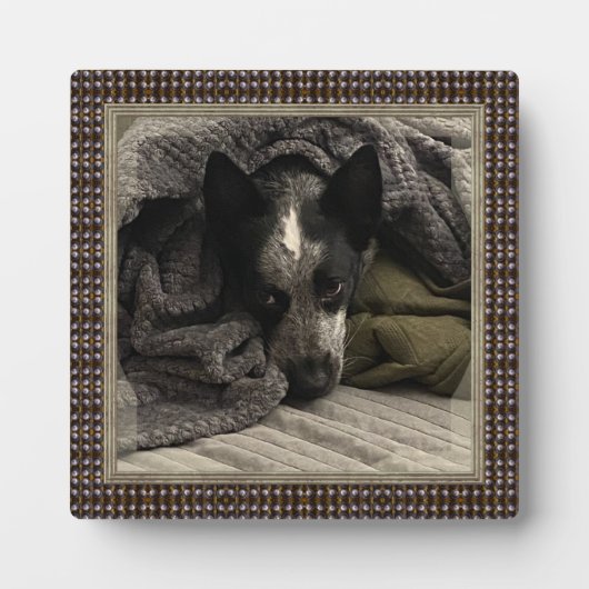 メタルフレームフェイク付きスタンド写真HAMbWG フォトプラーク (正面)