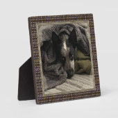 メタルフレームフェイク付きスタンド写真HAMbWG フォトプラーク (正面)