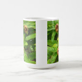 メダルフルーツ コーヒーマグカップ (中央)