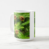 メダルフルーツ コーヒーマグカップ (正面左)