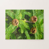 メダルフルーツ ジグソーパズル (横)