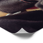 メダル、知恵、そして噛まれた遺産 ポスター (角)