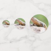 メッキトカゲ コンフェッティ (裏面)