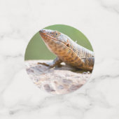 メッキトカゲ コンフェッティ (スモール正面)