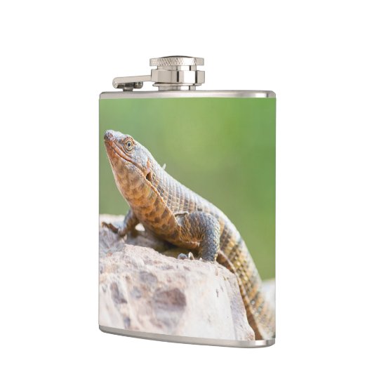 メッキトカゲ フラスク (左)
