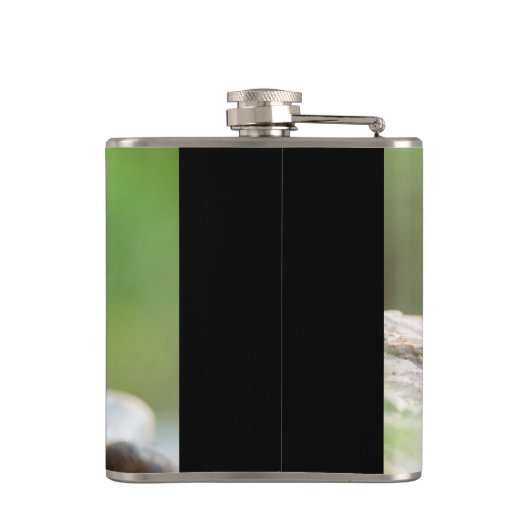 メッキトカゲ フラスク (裏面)