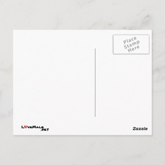 メッシュ ポストカード (裏面)