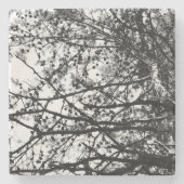 メッシーパインコーン ストーンコースター (正面)