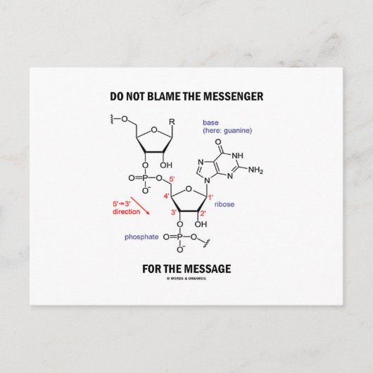 メッセンジャーを責めないでくれ ポストカード (正面)
