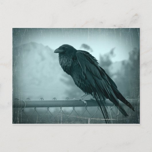 メッセンジャー ポストカード (正面)