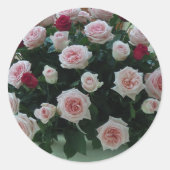 メッセージとバラシール ラウンドシール (正面)