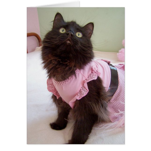 メッセージのためのブランク (正面)