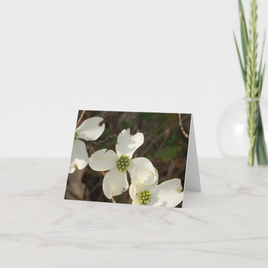 メッセージカードのミズキ カード (正面)