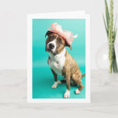 メッセージカードの内側は無地です カード (正面)