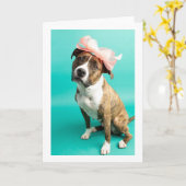 メッセージカードの内側は無地です カード (黄色い花)