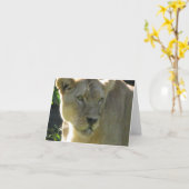 メッセージカードの美しい雌ジシ カード (黄色い花)