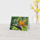 メッセージカード極楽鳥 カード (黄色い花)