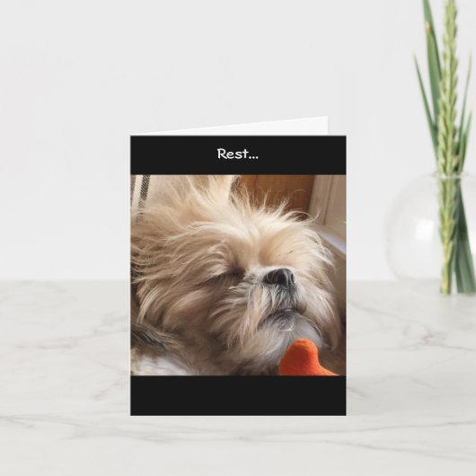 メッセージカード/すばらしい優美及び栄光Bea カード (正面)