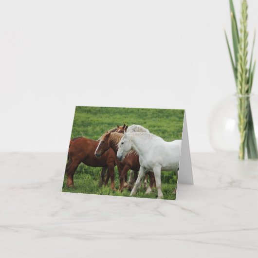 メッセージカード シーズンカード (正面)