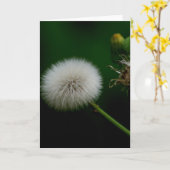 メッセージカード-タンポポ カード (黄色い花)