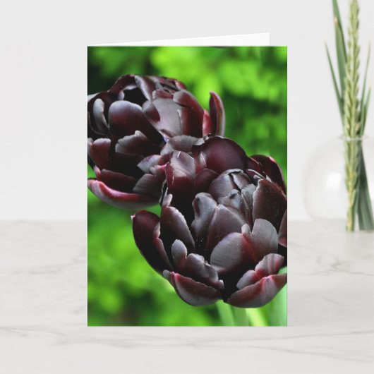 メッセージカード: チューリップ カード (正面)