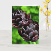 メッセージカード: チューリップ カード (黄色い花)