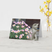 メッセージカード: ピンクのデイジー カード (黄色い花)